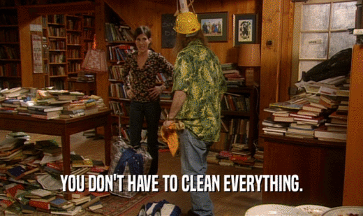 YOU DON'T HAVE TO CLEAN EVERYTHING.
  