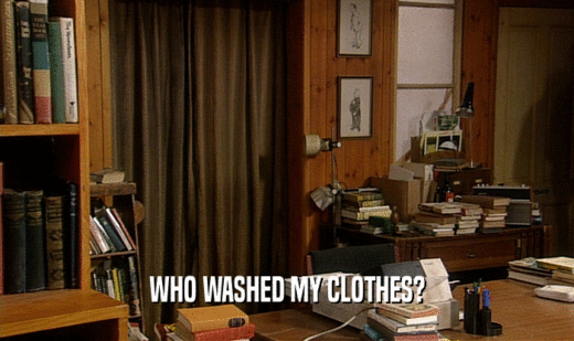 WHO WASHED MY CLOTHES?
  