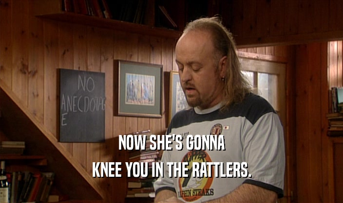 NOW SHE'S GONNA
 KNEE YOU IN THE RATTLERS.
 