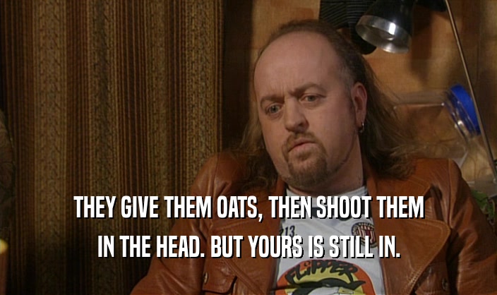 THEY GIVE THEM OATS, THEN SHOOT THEM
 IN THE HEAD. BUT YOURS IS STILL IN.
 