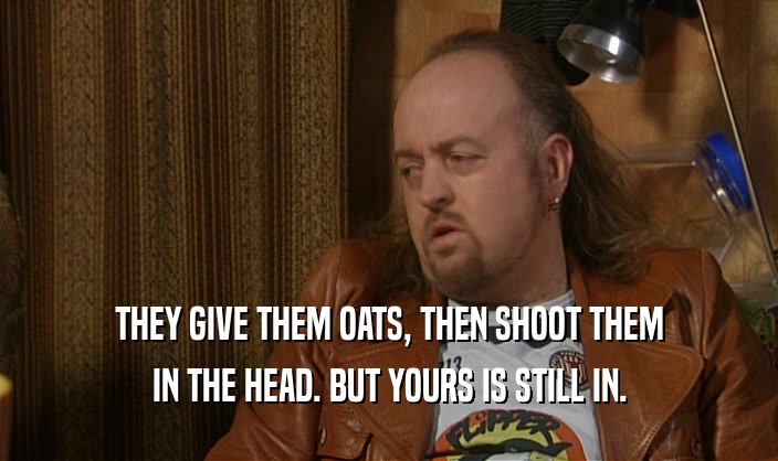 THEY GIVE THEM OATS, THEN SHOOT THEM
 IN THE HEAD. BUT YOURS IS STILL IN.
 