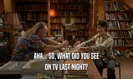 AHA... SO, WHAT DID YOU SEE ON TV LAST NIGHT? 