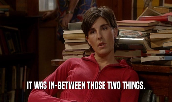 IT WAS IN-BETWEEN THOSE TWO THINGS.  