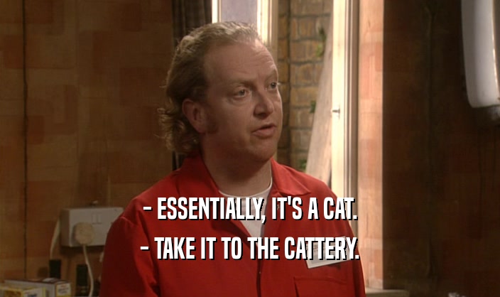 - ESSENTIALLY, IT'S A CAT. - TAKE IT TO THE CATTERY. 
