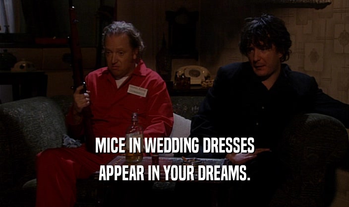 MICE IN WEDDING DRESSES
 APPEAR IN YOUR DREAMS.
 
