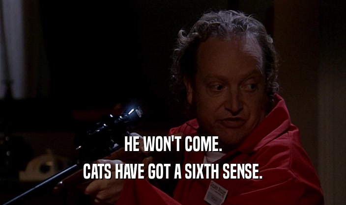 HE WON'T COME. CATS HAVE GOT A SIXTH SENSE. 
