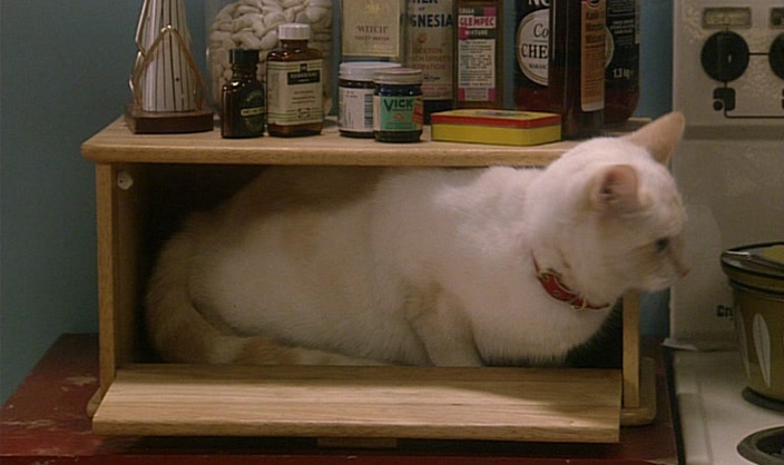 - AND I WANT... - (MEOWS) 
