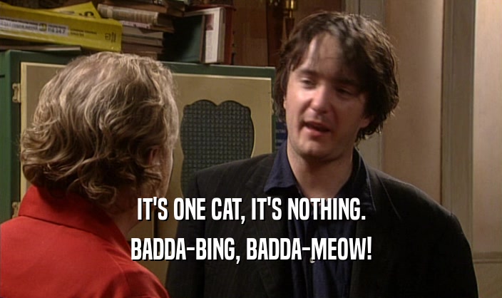 IT'S ONE CAT, IT'S NOTHING. BADDA-BING, BADDA-MEOW! 