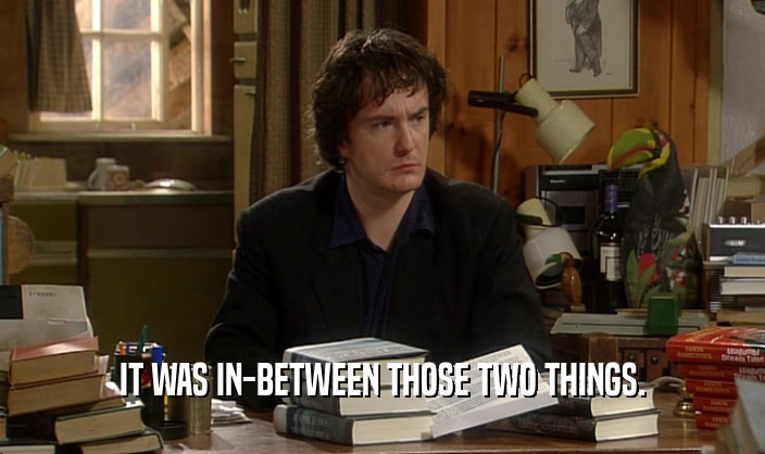 IT WAS IN-BETWEEN THOSE TWO THINGS.  