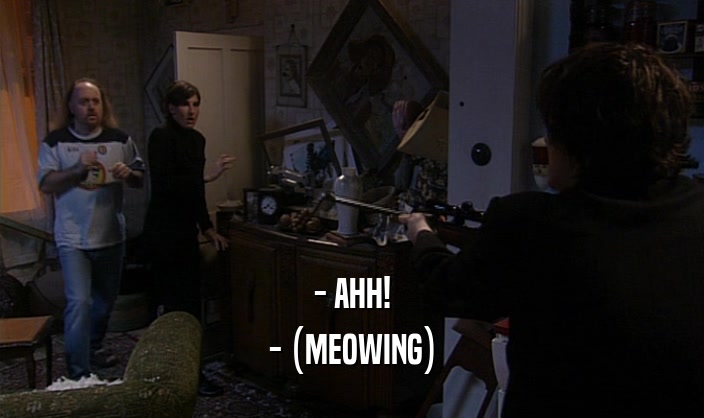 - AHH! - (MEOWING) 