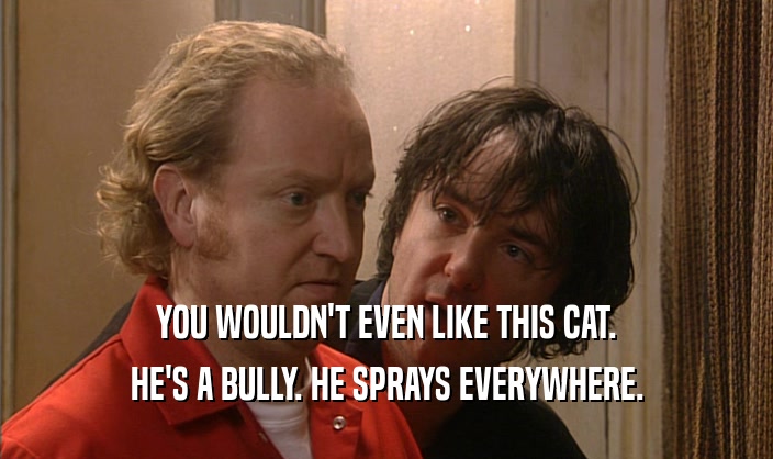 YOU WOULDN'T EVEN LIKE THIS CAT. HE'S A BULLY. HE SPRAYS EVERYWHERE. 
