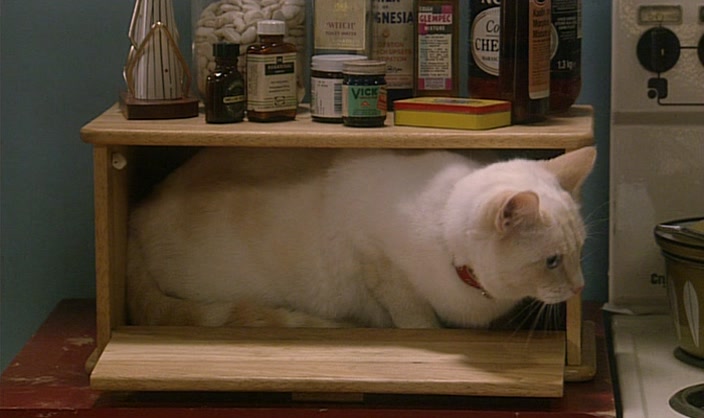 - AND I WANT... - (MEOWS) 