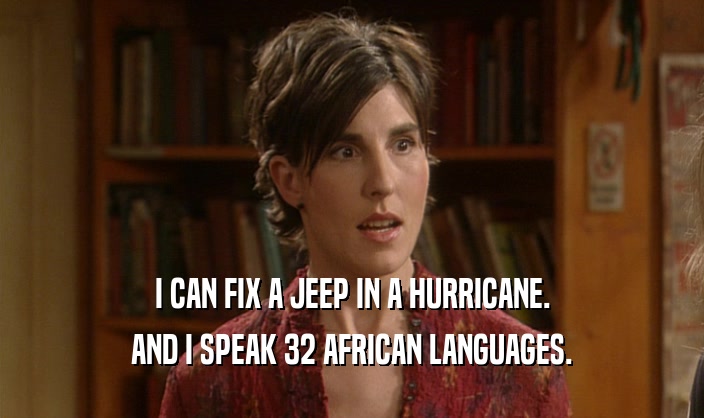 I CAN FIX A JEEP IN A HURRICANE. AND I SPEAK 32 AFRICAN LANGUAGES. 