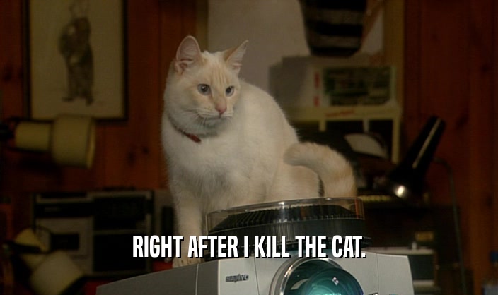 RIGHT AFTER I KILL THE CAT.
  