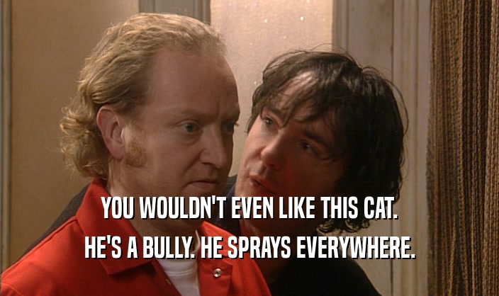 YOU WOULDN'T EVEN LIKE THIS CAT. HE'S A BULLY. HE SPRAYS EVERYWHERE. 