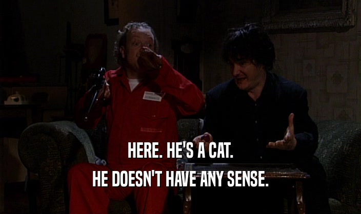 HERE. HE'S A CAT. HE DOESN'T HAVE ANY SENSE. 