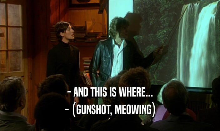 - AND THIS IS WHERE... - (GUNSHOT, MEOWING) 