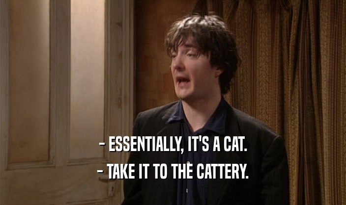 - ESSENTIALLY, IT'S A CAT. - TAKE IT TO THE CATTERY. 