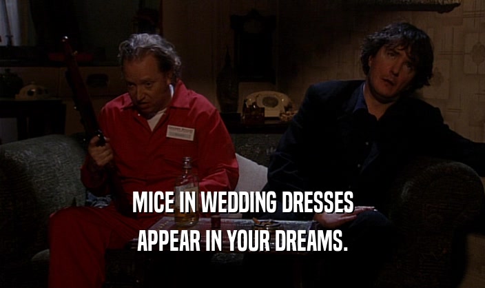 MICE IN WEDDING DRESSES
 APPEAR IN YOUR DREAMS.
 