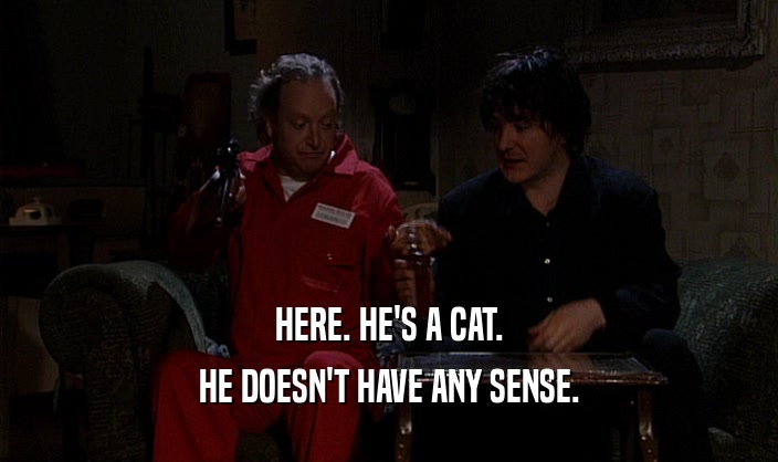 HERE. HE'S A CAT. HE DOESN'T HAVE ANY SENSE. 
