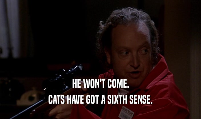 HE WON'T COME. CATS HAVE GOT A SIXTH SENSE. 