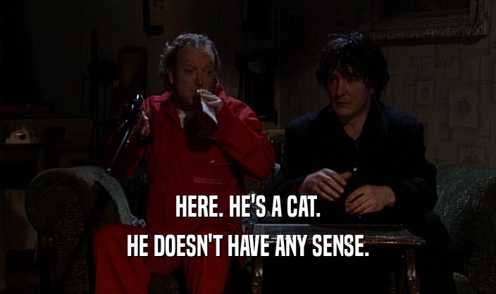 HERE. HE'S A CAT. HE DOESN'T HAVE ANY SENSE. 