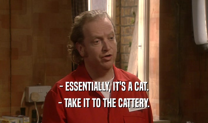 - ESSENTIALLY, IT'S A CAT. - TAKE IT TO THE CATTERY. 