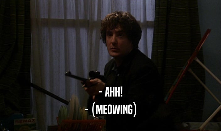 - AHH! - (MEOWING) 