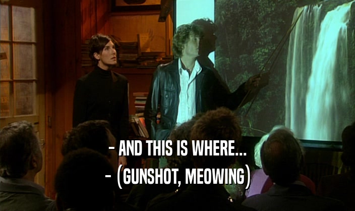 - AND THIS IS WHERE... - (GUNSHOT, MEOWING) 