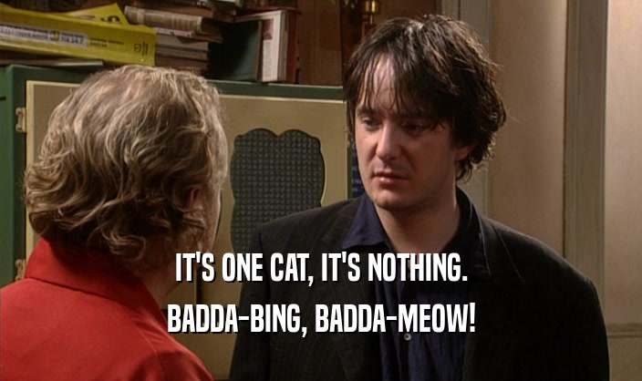IT'S ONE CAT, IT'S NOTHING.
 BADDA-BING, BADDA-MEOW!
 