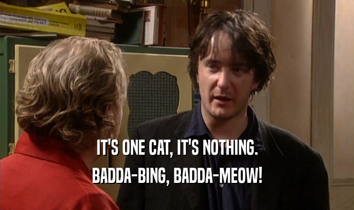 IT'S ONE CAT, IT'S NOTHING. BADDA-BING, BADDA-MEOW! 