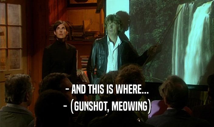 - AND THIS IS WHERE... - (GUNSHOT, MEOWING) 