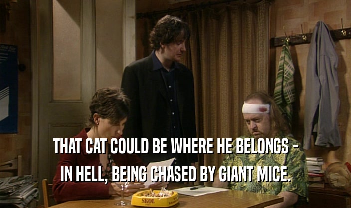 THAT CAT COULD BE WHERE HE BELONGS - IN HELL, BEING CHASED BY GIANT MICE. 