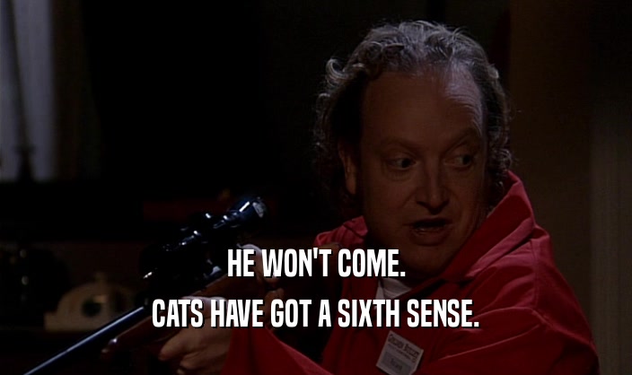 HE WON'T COME. CATS HAVE GOT A SIXTH SENSE. 