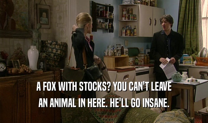 A FOX WITH STOCKS? YOU CAN'T LEAVE AN ANIMAL IN HERE. HE'LL GO INSANE. 