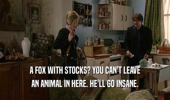 A FOX WITH STOCKS? YOU CAN'T LEAVE AN ANIMAL IN HERE. HE'LL GO INSANE. 
