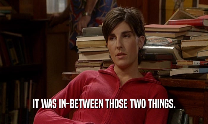 IT WAS IN-BETWEEN THOSE TWO THINGS.  