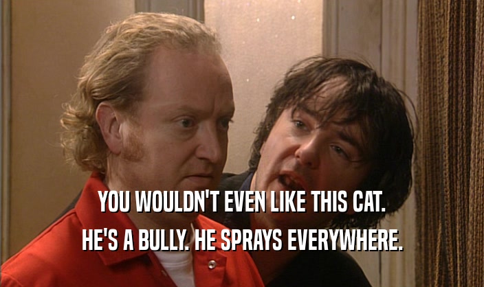 YOU WOULDN'T EVEN LIKE THIS CAT. HE'S A BULLY. HE SPRAYS EVERYWHERE. 