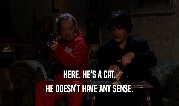 HERE. HE'S A CAT. HE DOESN'T HAVE ANY SENSE. 