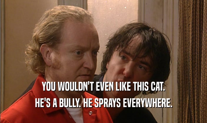 YOU WOULDN'T EVEN LIKE THIS CAT. HE'S A BULLY. HE SPRAYS EVERYWHERE. 