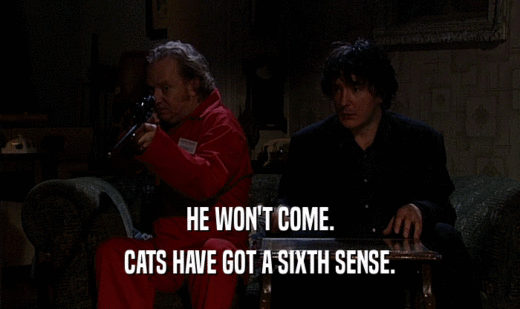 HE WON'T COME. CATS HAVE GOT A SIXTH SENSE. 
