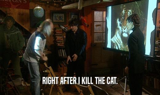 RIGHT AFTER I KILL THE CAT.
  