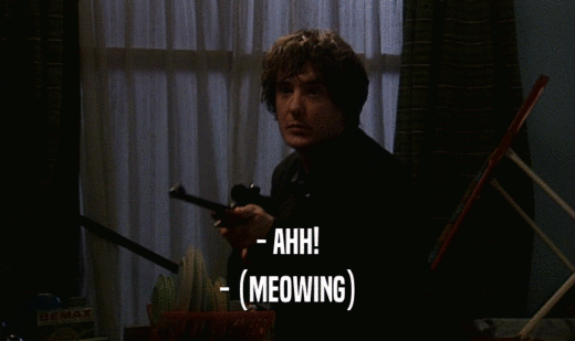 - AHH! - (MEOWING) 