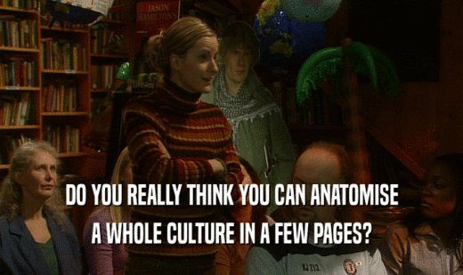 DO YOU REALLY THINK YOU CAN ANATOMISE A WHOLE CULTURE IN A FEW PAGES? 