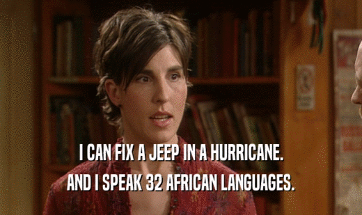 I CAN FIX A JEEP IN A HURRICANE. AND I SPEAK 32 AFRICAN LANGUAGES. 