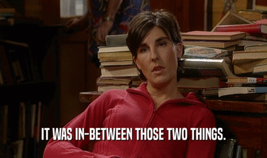 IT WAS IN-BETWEEN THOSE TWO THINGS.  