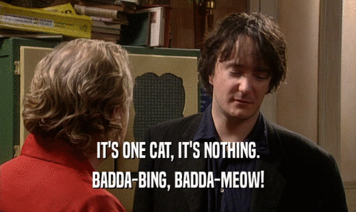 IT'S ONE CAT, IT'S NOTHING.
 BADDA-BING, BADDA-MEOW!
 