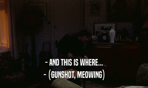 - AND THIS IS WHERE... - (GUNSHOT, MEOWING) 