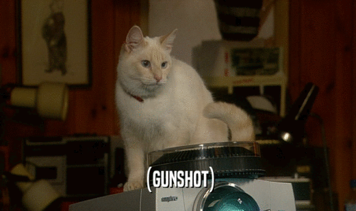 (GUNSHOT)
  