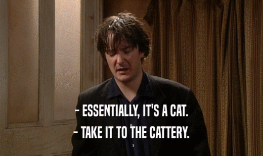 - ESSENTIALLY, IT'S A CAT.
 - TAKE IT TO THE CATTERY.
 